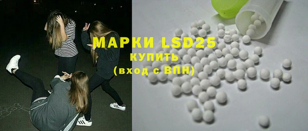 индика Абаза