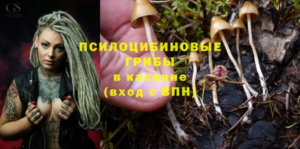 герыч Алзамай